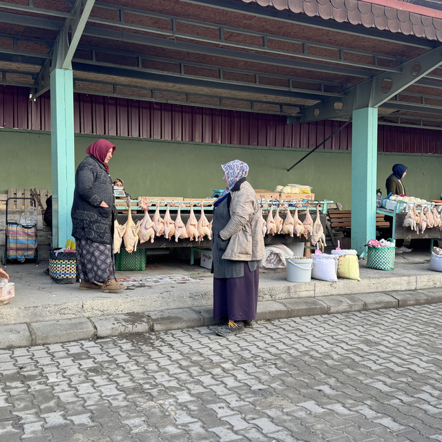 Doğal ortamda beslenen "Eflani hindisi" yeni yıl öncesi pazardaki yerini al...