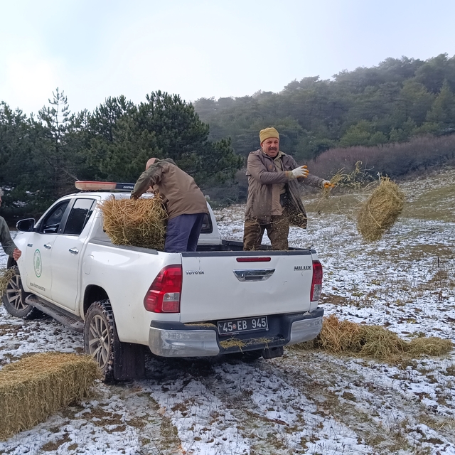 Spil Dağı'nda yaban hayvanları için doğaya yem bırakıldı
