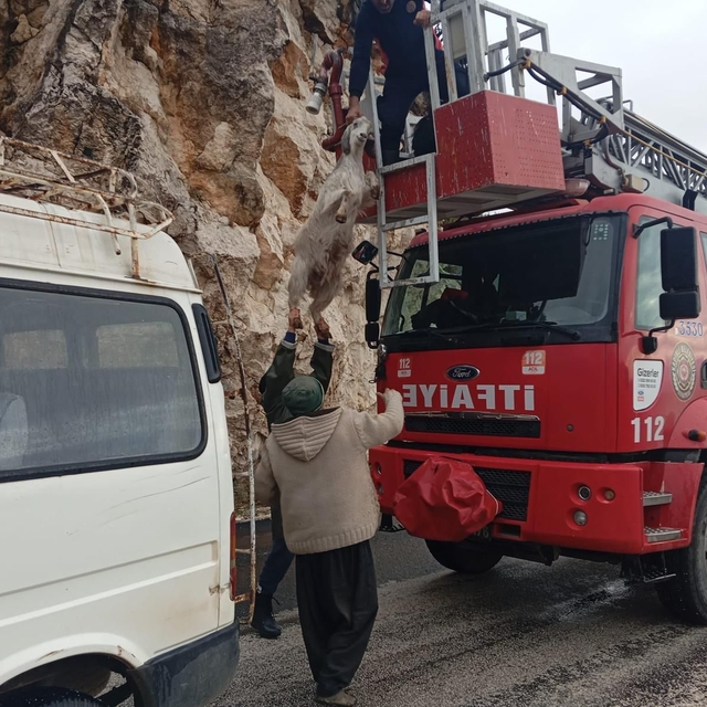 Osmaniye'de kayalıklarda mahsur kalan 3 keçiyi itfaiye kurtardı