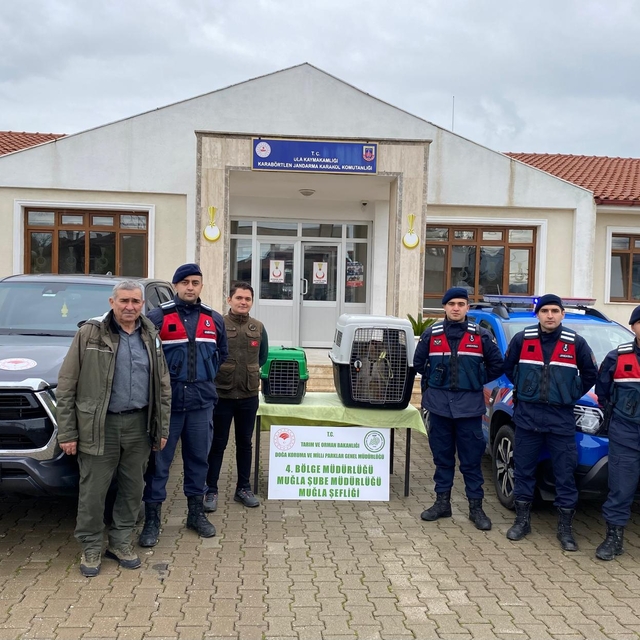 Muğla'da evinde makak ve vervet maymunu besleyen kişiye 10 bin lira ceza