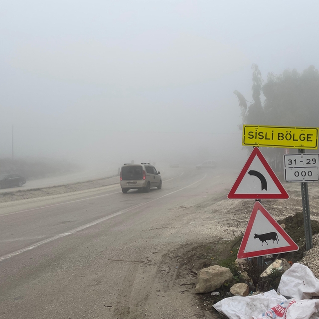 Altınözü'nde sis etkili oldu