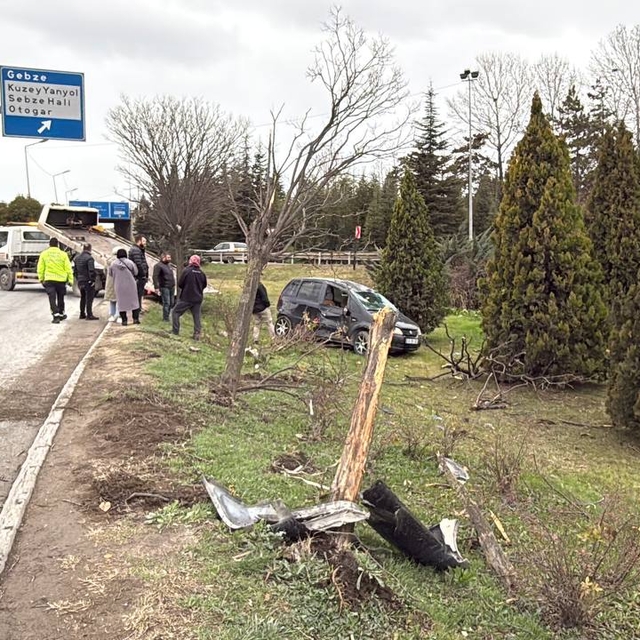 Kocaeli'de kontrolden çıkan otomobil ağaçlık alana devrildi