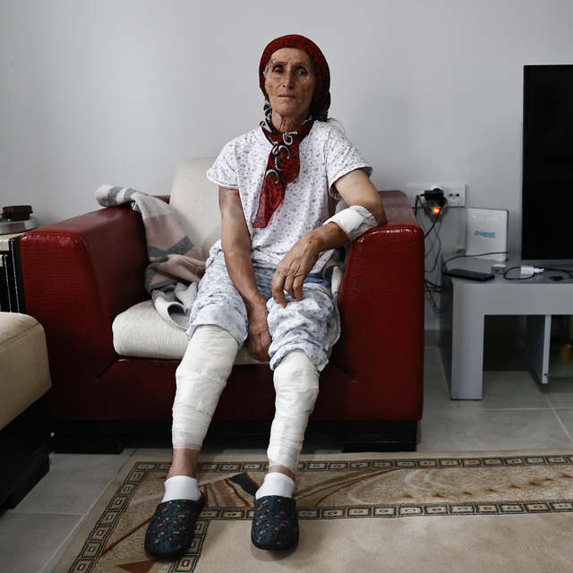 Tunceli'de köpeklerin saldırısına uğrayan kadın ağır yaralandı