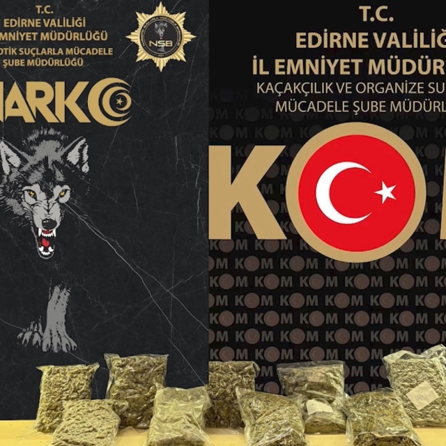 Edirne'de sınır kapısında uyuşturucuyla yakalanan panelvan sürücüsü tutukla...