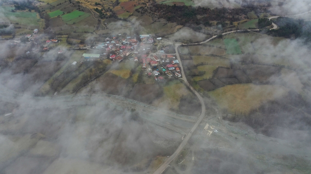 Galeri