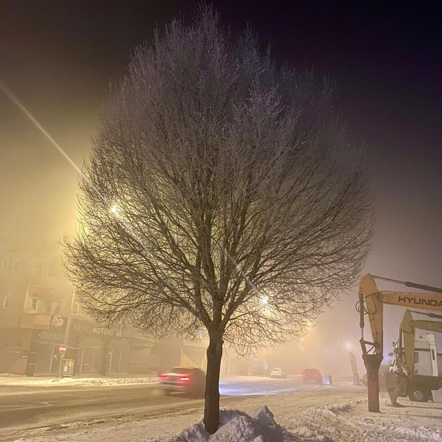 Ardahan'da yoğun sis görüş mesafesini düşürdü