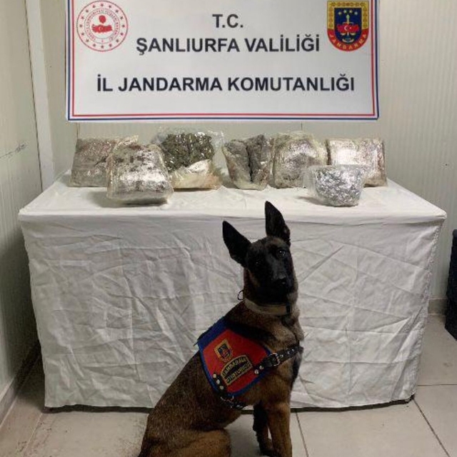 Şanlıurfa'da uyuşturucu operasyonunda 1 şüpheli yakalandı