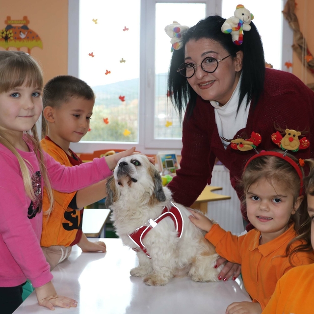 Bitkin ve hasta bulunan 'Şeker', okulda öğrencilerin ilgisiyle hayata tutun...