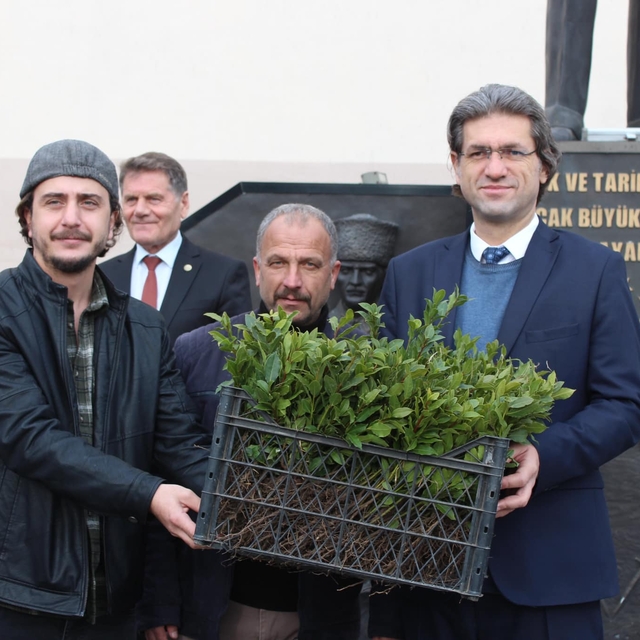 19 Mayıs ilçesinde vatandaşlara 5 bin defne fidanı dağıtıldı