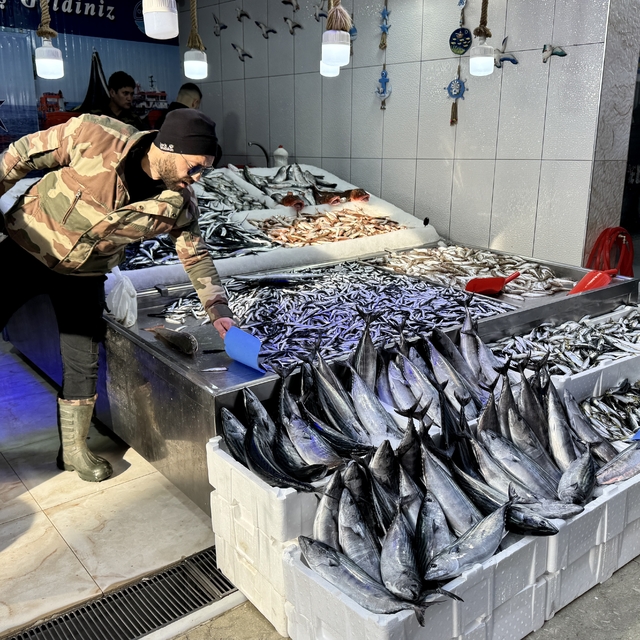 Sinop'ta palamudun tanesi 200 lira oldu