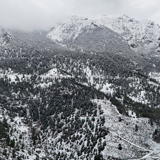 Adana'nın Pozantı ilçesinde kar yağışı etkili oldu