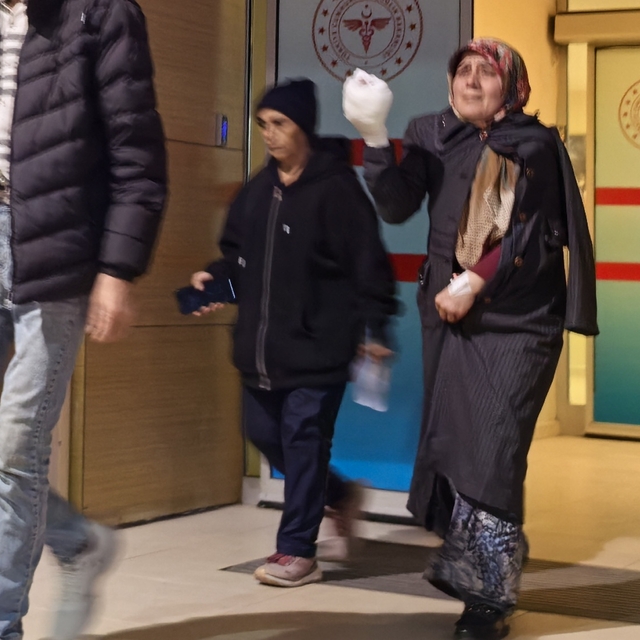 Elini yem makinesine kaptıran kadın yaralandı