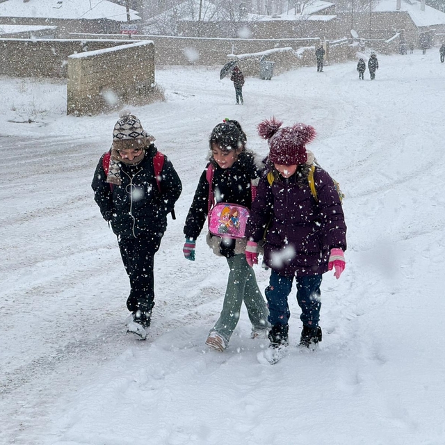 Van, Muş, Hakkari ve Bitlis'te kar etkili oldu