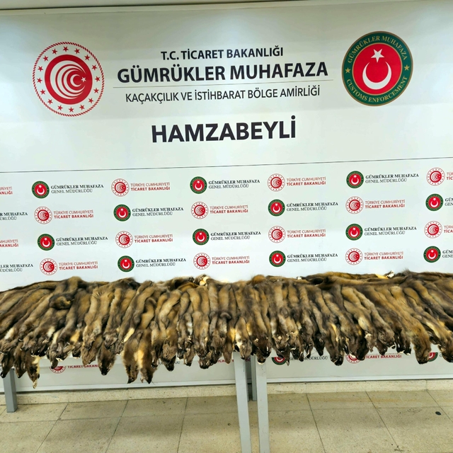 Hamzabeyli Sınır Kapısı'nda 155 samur postu ile 239 cep telefonu ele geçiri...