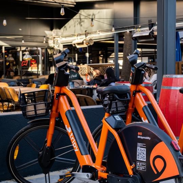 Sakarya'dan kısa kısa