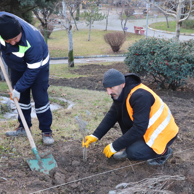 Turhal'da Şehit Tümgeneral Aydoğan Aydın Milli Egemenlik Parkı'na 6 bin lav...