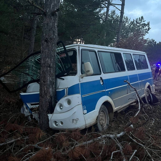 Bilecik'te ağaca çarpan minibüsteki 5 yolcu yaralandı