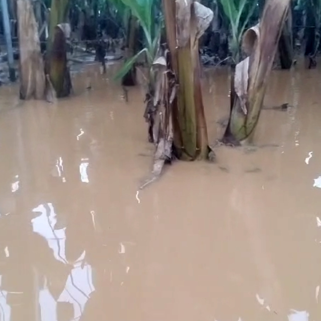 TARSİM Genel Müdürü Engürülü: Daha fazla hortum, sel ve su baskınıyla karşı...