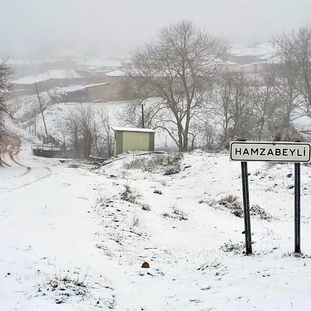Edirne'nin sınır köyleri kar yağışıyla beyaza büründü