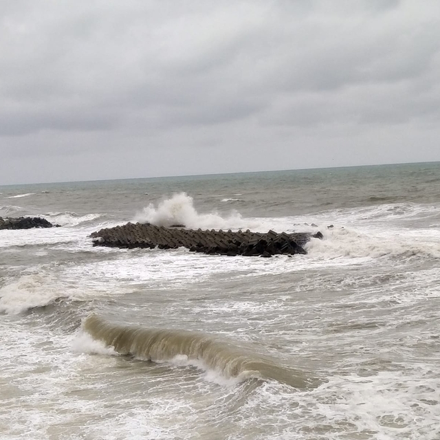 Akçakoca'da kuvvetli rüzgar etkili oluyor