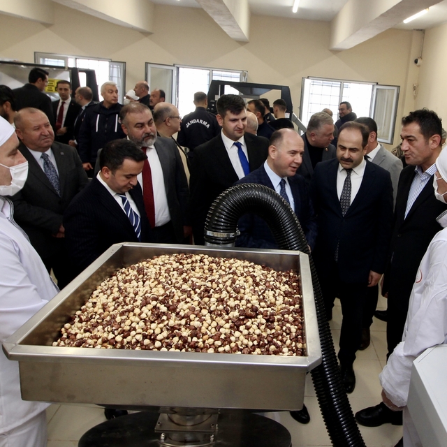 Giresun'da cezaevinde fındık işleme atölyesi açıldı