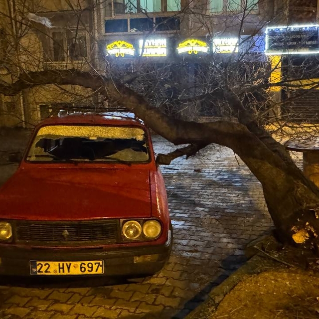 Edirne'de üzerine ağaç devrilen otomobilde hasar oluştu
