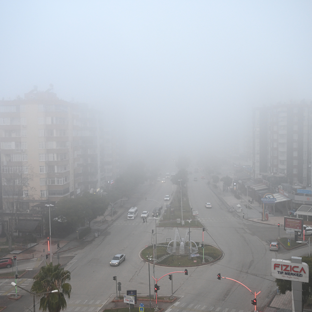 Adana'da sis etkili oldu