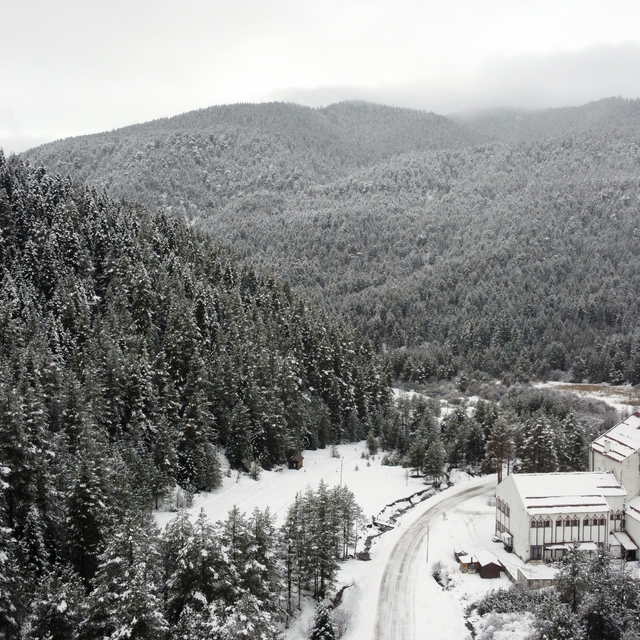 Karla kaplanan Ilgaz Dağı'ndaki çam ormanları dronla görüntülendi