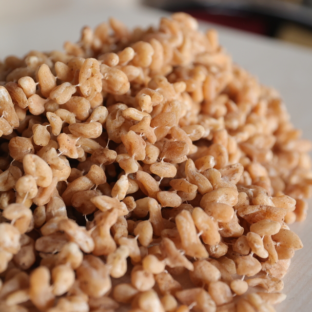 Kış aylarının vazgeçilmez içeceği Bucak salebinin lezzeti Toroslar'dan geli...