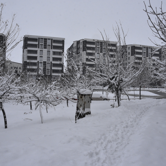 Bitlis'te 165 köy yolu kardan kapandı
