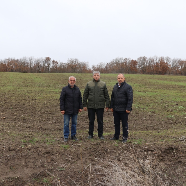 İl Tarım ve Orman Müdürü Bayazıt, oluşturulan suni merada incelemede bulund...