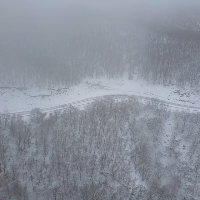 Tekirdağ'da sis etkili oldu