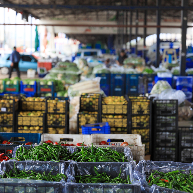 Seraları soğuk vurdu; ürün azaldı, fiyatlar arttı