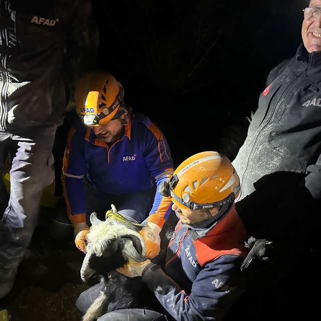 İzmir'de kayalıklarda mahsur kalan keçiyi AFAD ekipleri kurtardı