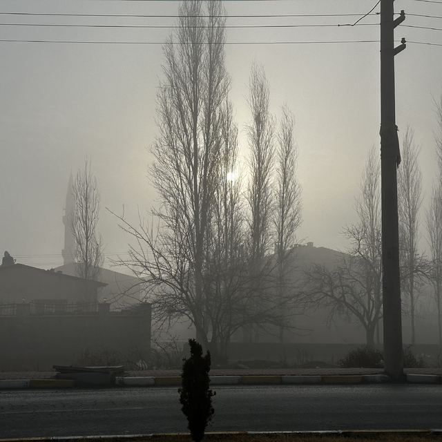 Iğdır'da yoğun sis etkili oluyor