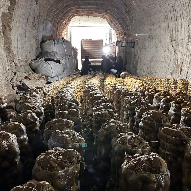 Kayadan oyma mağaralarda depolanan patatesler 5 ülkeye ihraç ediliyor