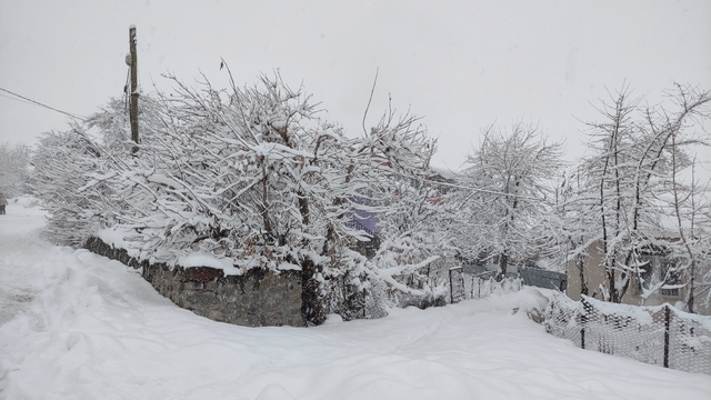 Elazığ ve Bingöl'de 92 yerleşim yerine ulaşım sağlanamıyor