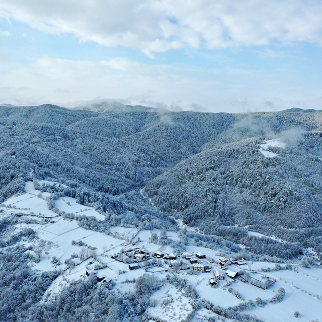 Kastamonu'nun ormanlık alanları beyaza büründü