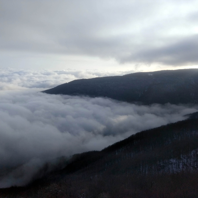Amasya'da etkili olan sis güzel bir görsel ortaya çıkardı