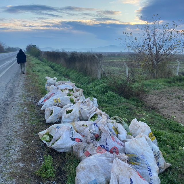 İzmir'de tarladan 52 çuval marul çaldığı öne sürülen 3 şüpheli tutuklandı
