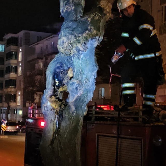 Çorum'da gövdesi yanmaya başlayan ağaç söndürüldü