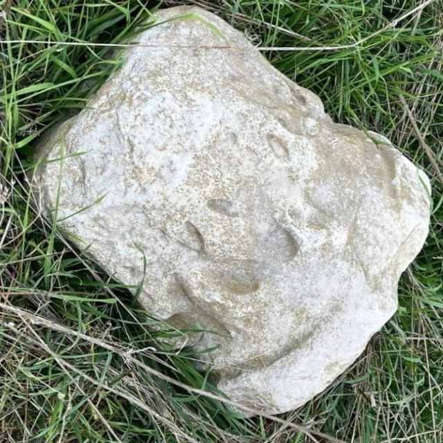 Tekirdağ'da Roma dönemine ait olduğu değerlendirilen antik sütun başlığı el...