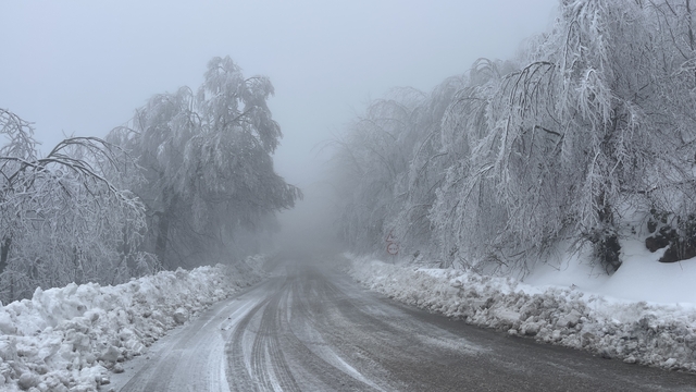 Karla kaplı Kartepe'de sisli havada güzel görüntüler ortaya çıktı