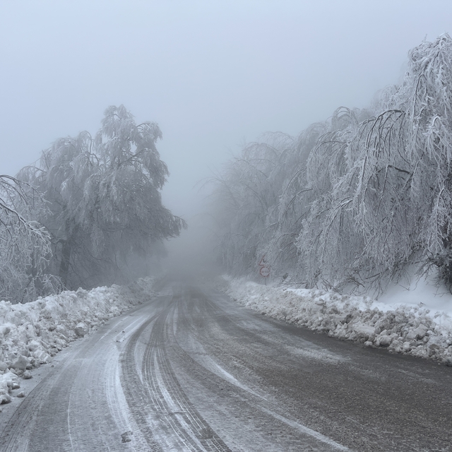 Karla kaplı Kartepe'de sisli havada güzel görüntüler ortaya çıktı