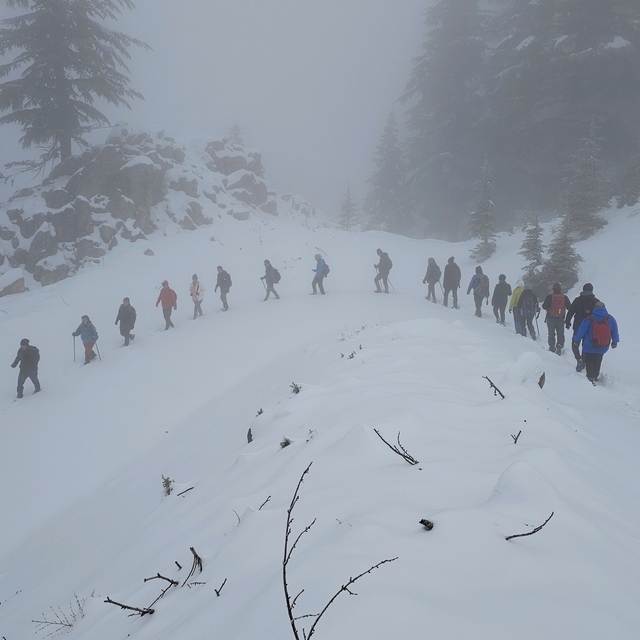 Adana'da doğaseverler Armutoluğu Yaylası'nda yürüyüş yaptı