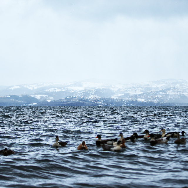 Sapanca Gölü'ndeki su seviyesi yağışların etkisiyle yükseldi