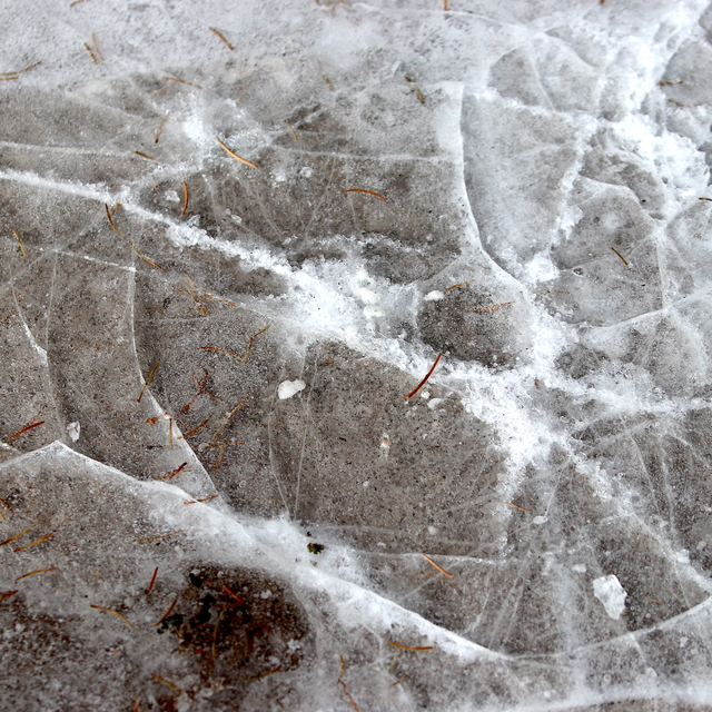 Erzurum, Ağrı, Tunceli ile Ardahan'da soğuk hava ve sis etkili oldu