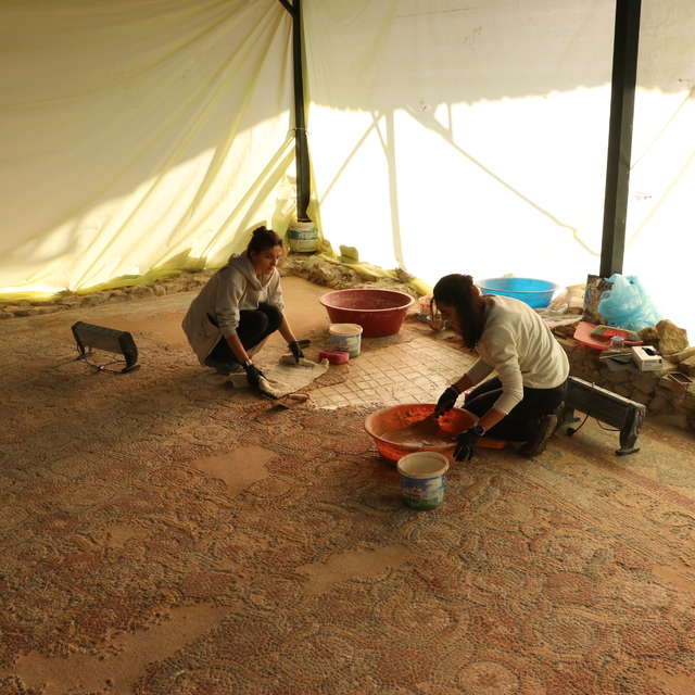 Kastamonu'daki Pompeiopolis Antik Kenti'nde mozaikler yerine yerleştirildi