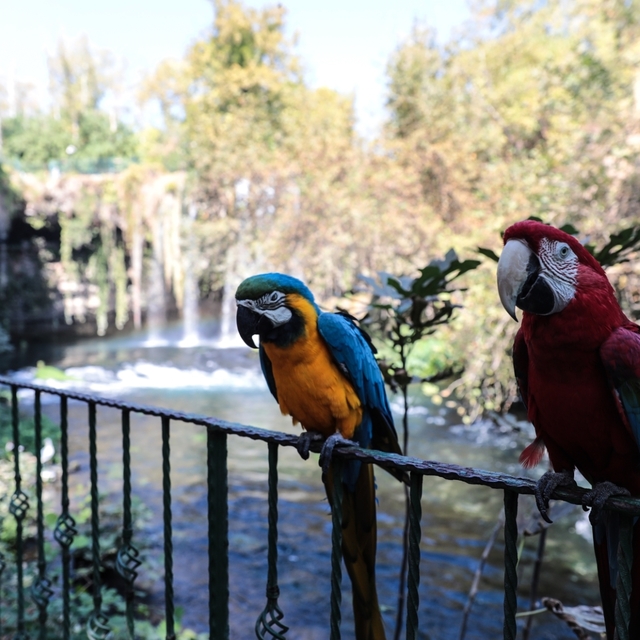 Antalya'daki Düden Şelalesi 840 bin ziyaretçiyi ağırladı