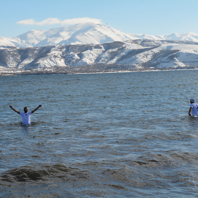 Doğaseverler dondurucu soğukta Van Gölü'nde yüzdü
